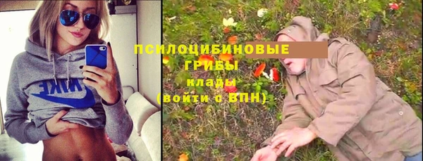 тгк Медногорск