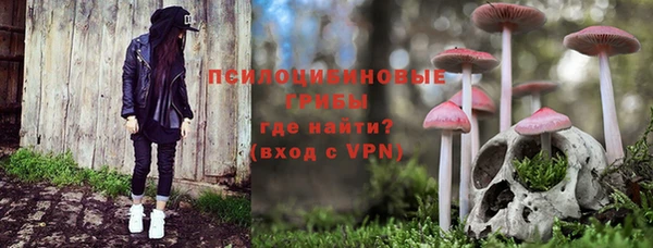 амф Медвежьегорск