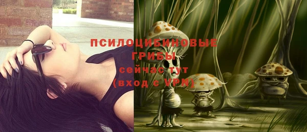 амф Медвежьегорск