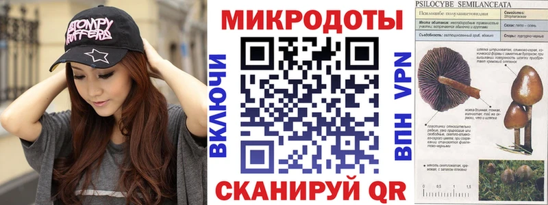 Галлюциногенные грибы мицелий  kraken сайт  Елизово 