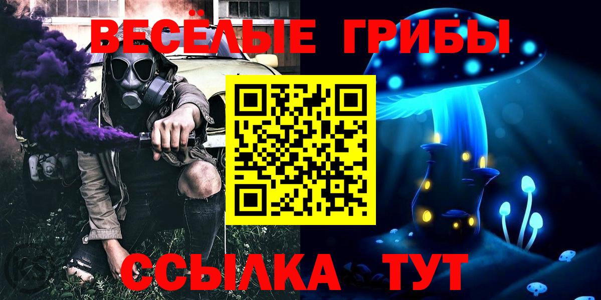 Псилоцибиновые грибы GOLDEN TEACHER Елизово