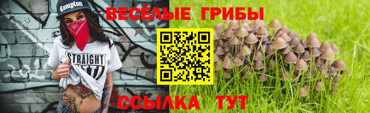 Псилоцибиновые грибы Magic Shrooms  Псилоцибиновые грибы Magic Shrooms  Вход с VPN  Елизово 